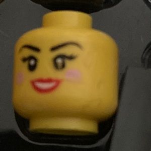 Meet your Posher, Lei